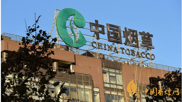 香煙漲價(jià)最新消息2020：香煙漲價(jià)真的能控?zé)焼?>
                                    <span>香煙漲價(jià)最新消息2020：香煙漲價(jià)真的能控?zé)焼?/span>
                                    <p>現(xiàn)在我國煙民的基數(shù)在不斷增大，而且有越來越多的青少年加入吸煙</p>
                                </a>
                            </li>
                                                                                </ul>
                    </div>

                </div>
            </div>
        </div>
    </div>

    
<link rel=