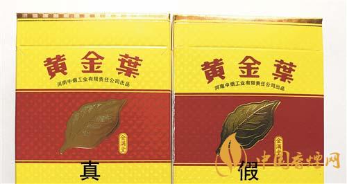 如何辨別黃金葉金滿堂真假？2020黃金葉真假辨別詳情對比