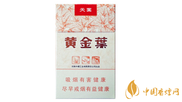 黃金葉天葉真?zhèn)卧趺幢鎰e？天葉真假如何看？