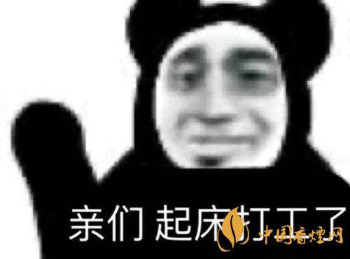 早安打工人是什么梗？早安打工人梗語錄大全