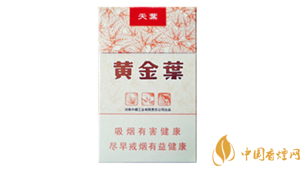黃金葉天葉真假怎樣區(qū)分？黃金葉天葉真假識(shí)別