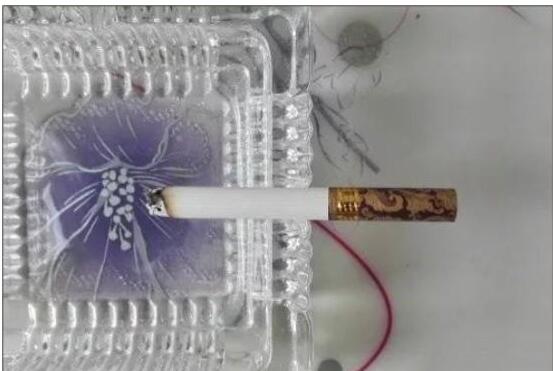 黃鶴樓漫天游，除了短貴沒別的毛病
