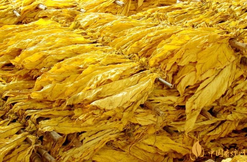 有機(jī)煙葉是什么，有機(jī)煙葉和普通煙葉的區(qū)別