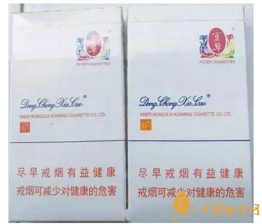 冬蟲夏草（和潤(rùn)）真假鑒別，春節(jié)防止被騙