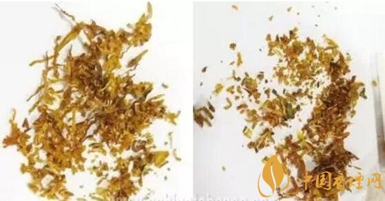 冬蟲夏草（和潤(rùn)）真假鑒別，春節(jié)防止被騙
